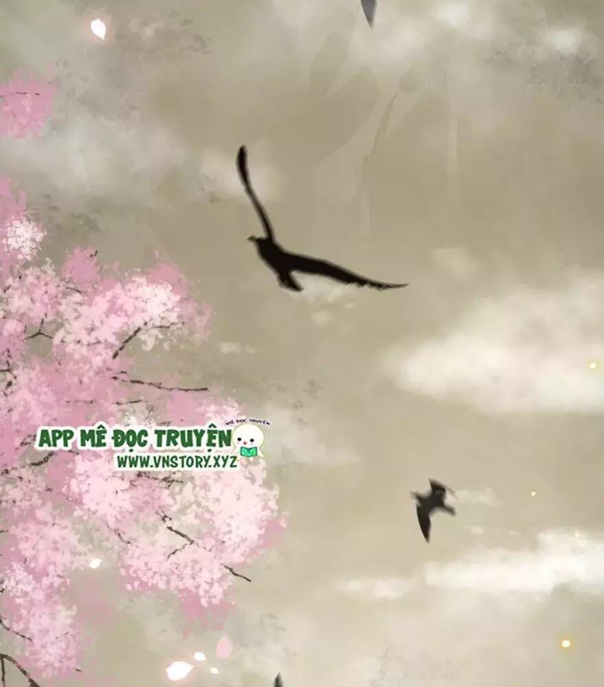 Phượng Hoàng Vu Phi Chapter 2 - Trang 2