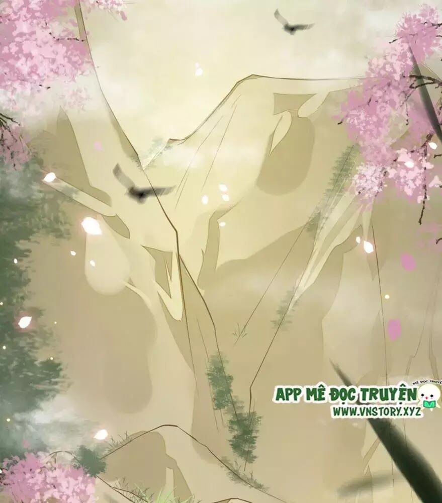 Phượng Hoàng Vu Phi Chapter 2 - Trang 2