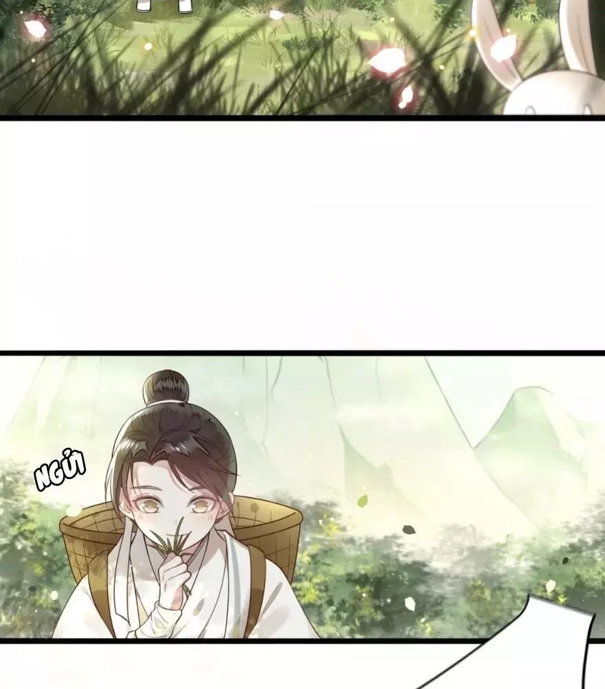 Phượng Hoàng Vu Phi Chapter 2 - Trang 2