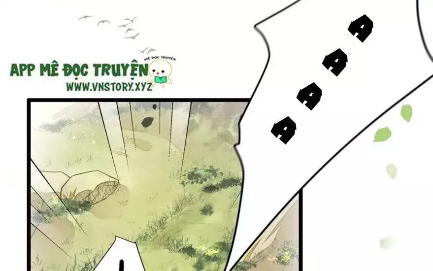 Phượng Hoàng Vu Phi Chapter 2 - Trang 2