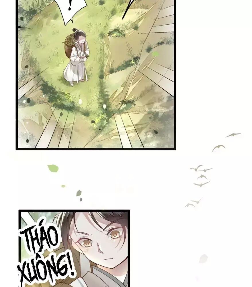 Phượng Hoàng Vu Phi Chapter 2 - Trang 2