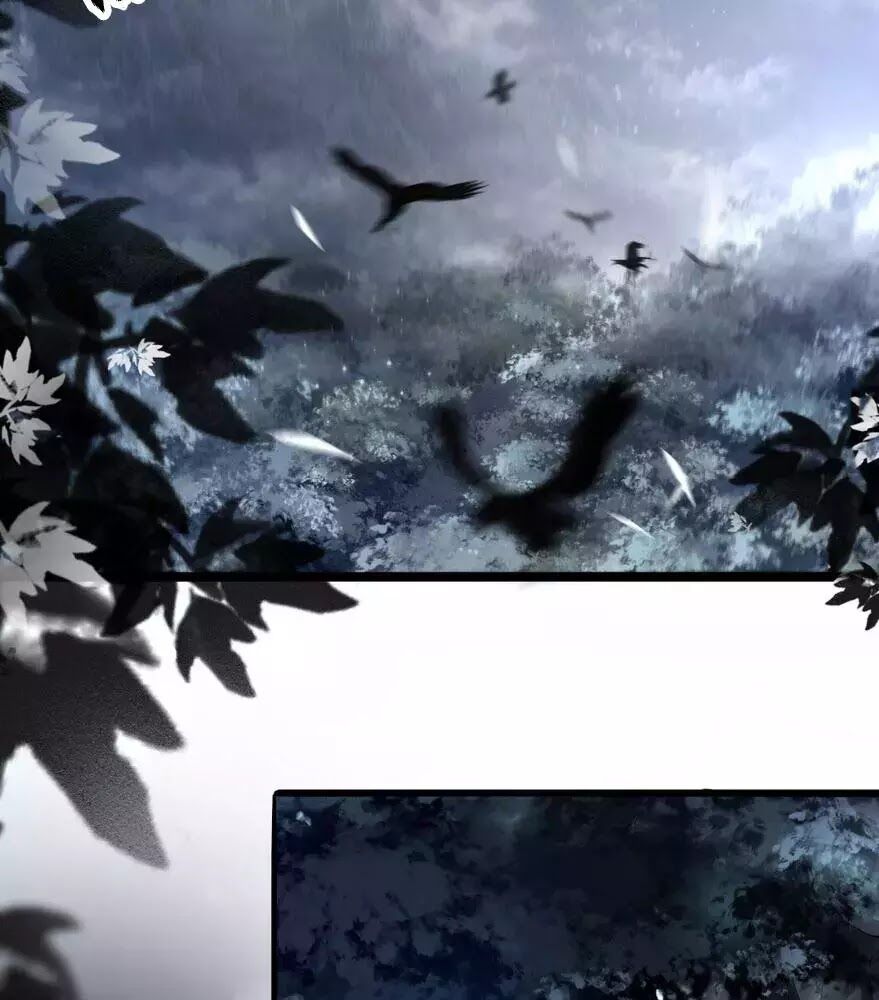 Phượng Hoàng Vu Phi Chapter 2 - Trang 2