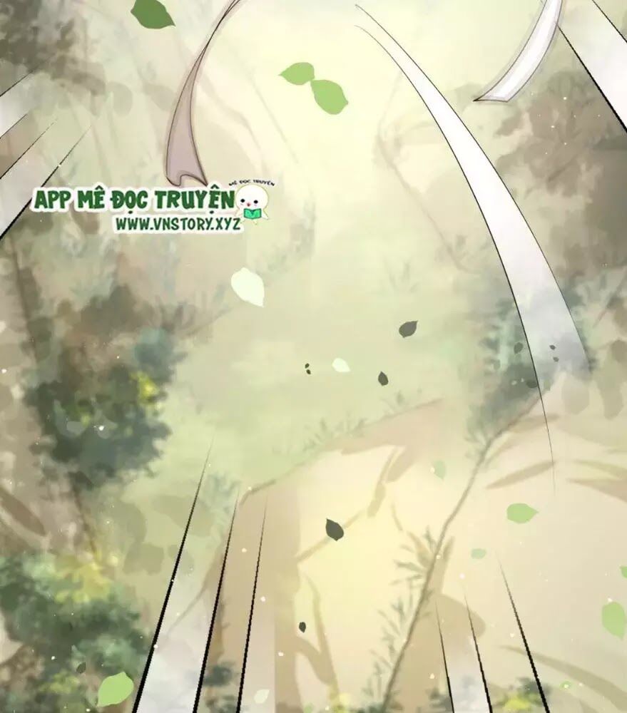 Phượng Hoàng Vu Phi Chapter 2 - Trang 2