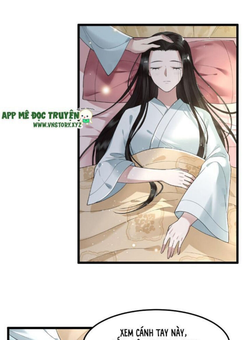 Phượng Hoàng Vu Phi Chapter 21 - Trang 2