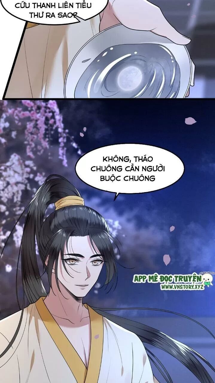 Phượng Hoàng Vu Phi Chapter 26 - Trang 2