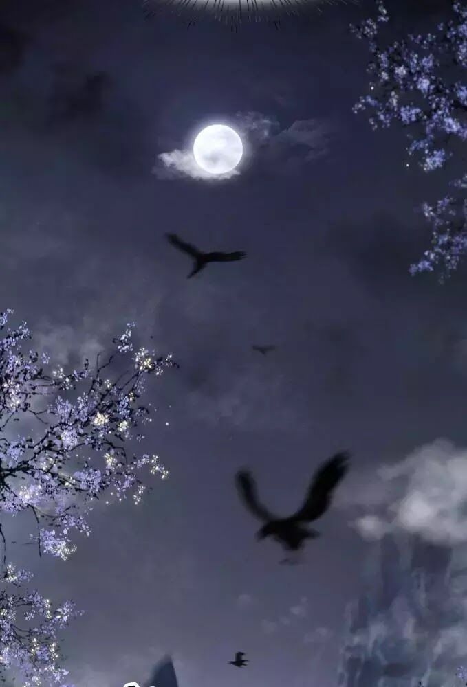 Phượng Hoàng Vu Phi Chapter 3 - Trang 2