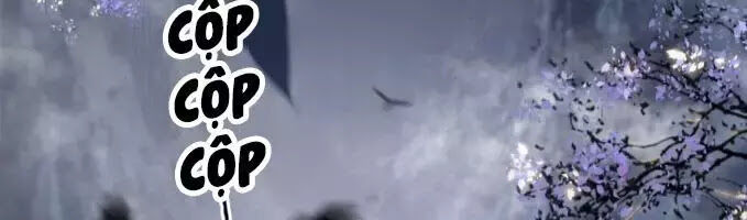 Phượng Hoàng Vu Phi Chapter 3 - Trang 2