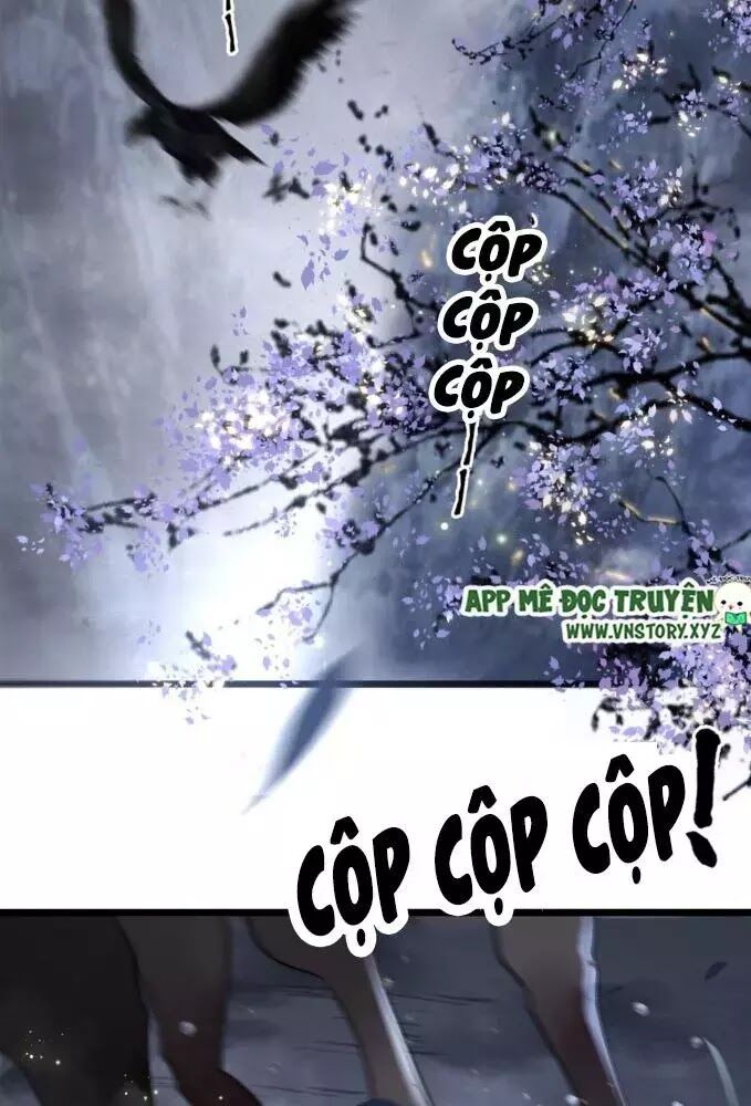 Phượng Hoàng Vu Phi Chapter 3 - Trang 2