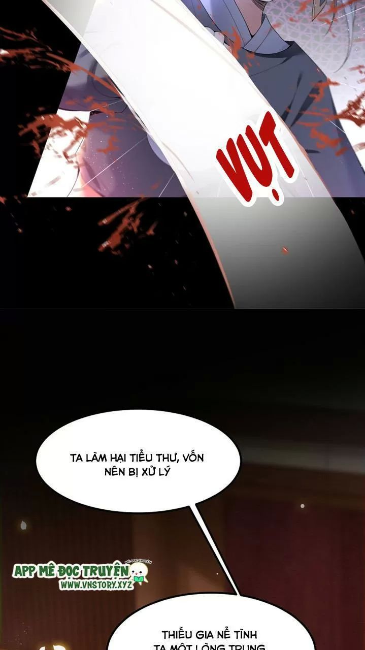 Phượng Hoàng Vu Phi Chapter 36 - Trang 2