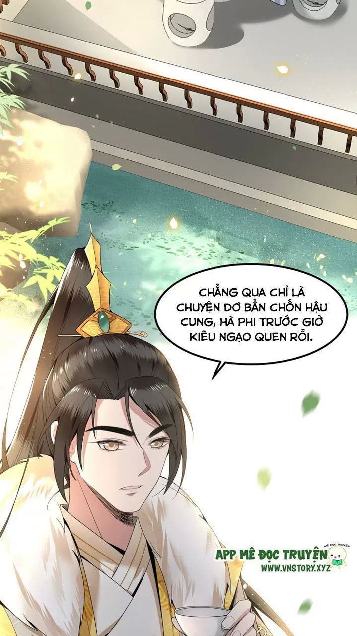 Phượng Hoàng Vu Phi Chapter 37 - Trang 2