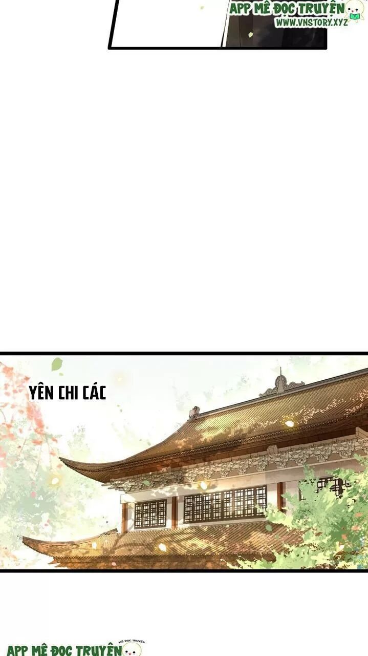 Phượng Hoàng Vu Phi Chapter 40 - Trang 2