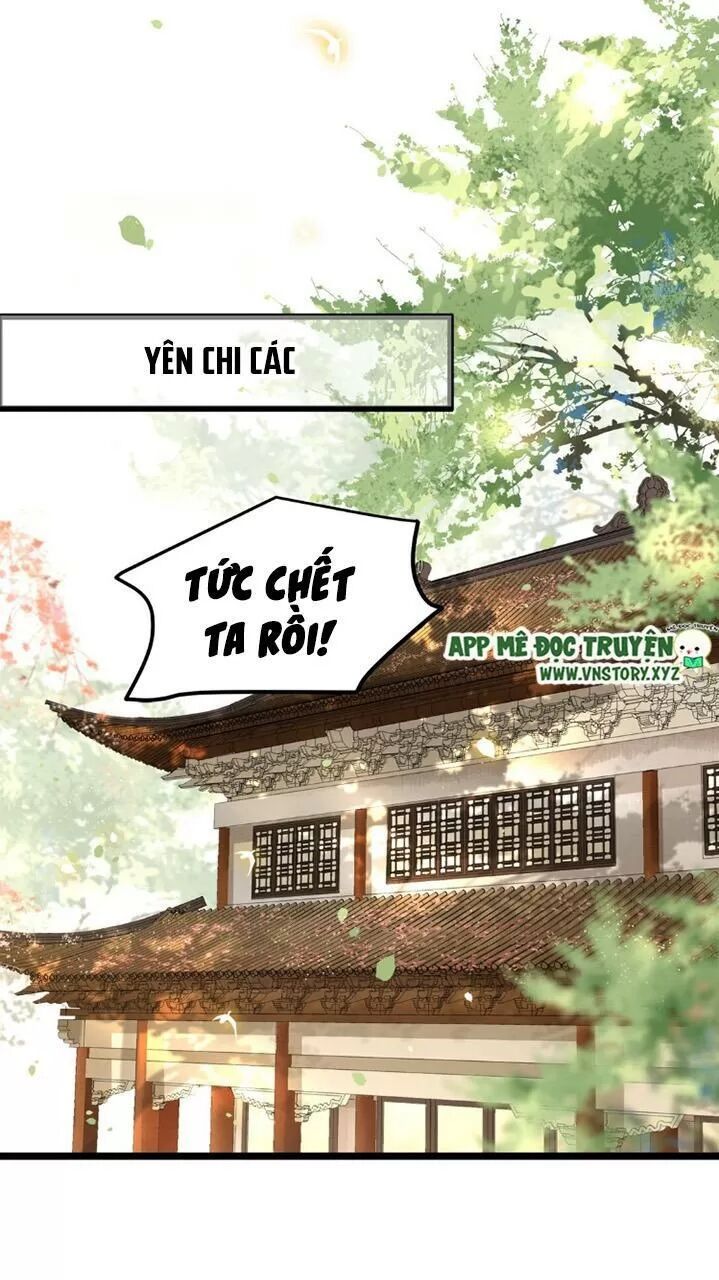 Phượng Hoàng Vu Phi Chapter 41 - Trang 2