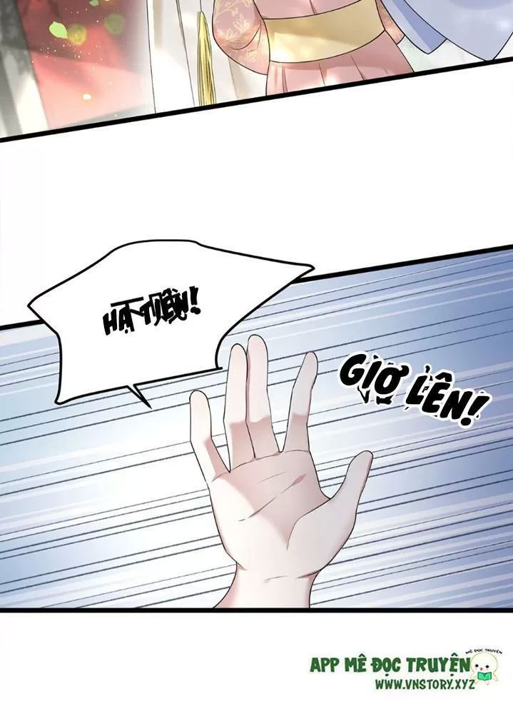 Phượng Hoàng Vu Phi Chapter 43 - Trang 2