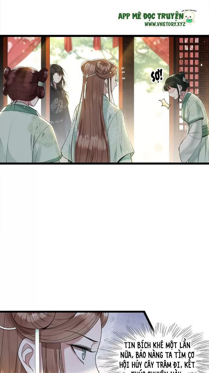 Phượng Hoàng Vu Phi Chapter 43 - Trang 2