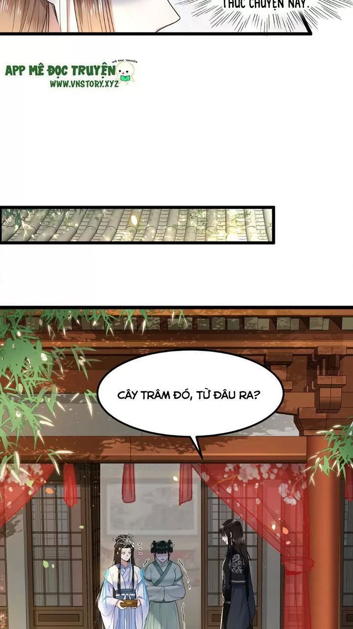 Phượng Hoàng Vu Phi Chapter 43 - Trang 2