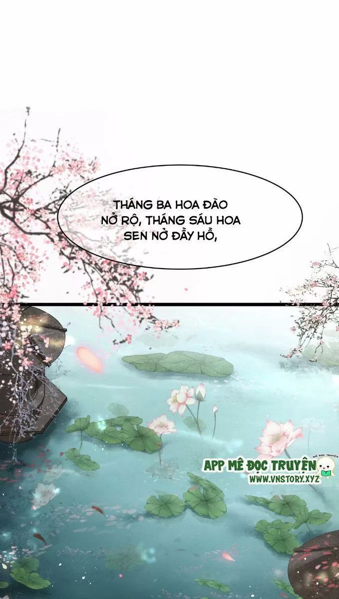 Phượng Hoàng Vu Phi Chapter 6 - Trang 2