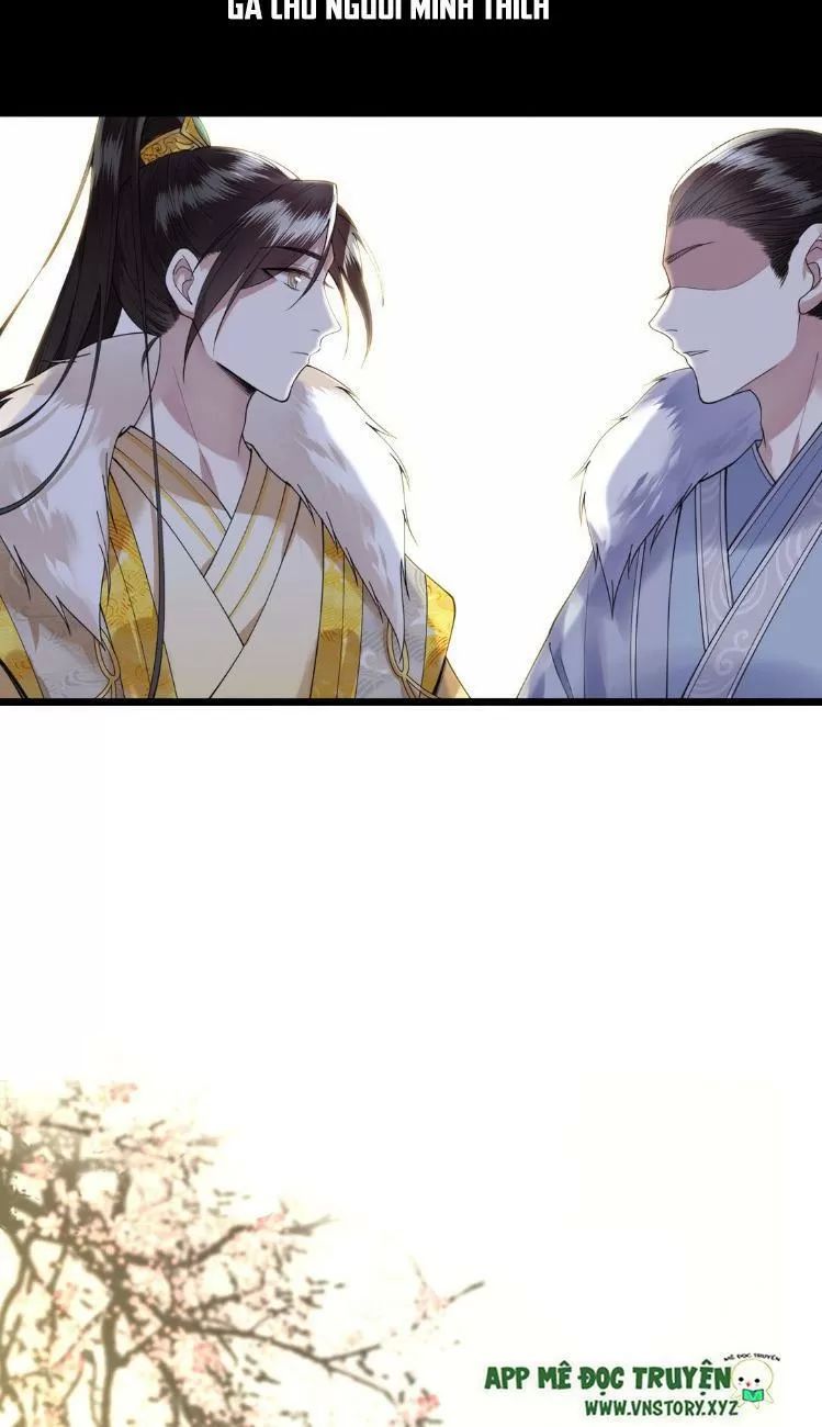 Phượng Hoàng Vu Phi Chapter 7 - Trang 2