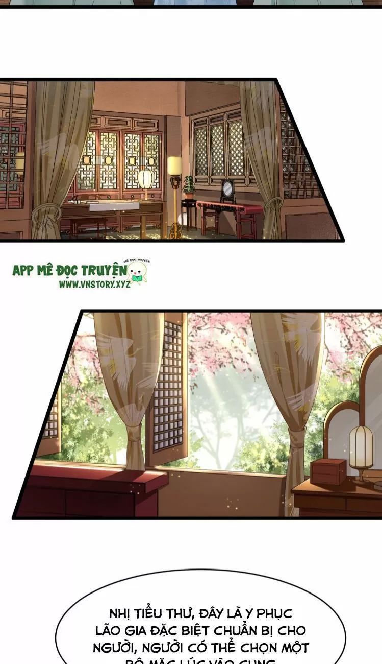 Phượng Hoàng Vu Phi Chapter 7 - Trang 2