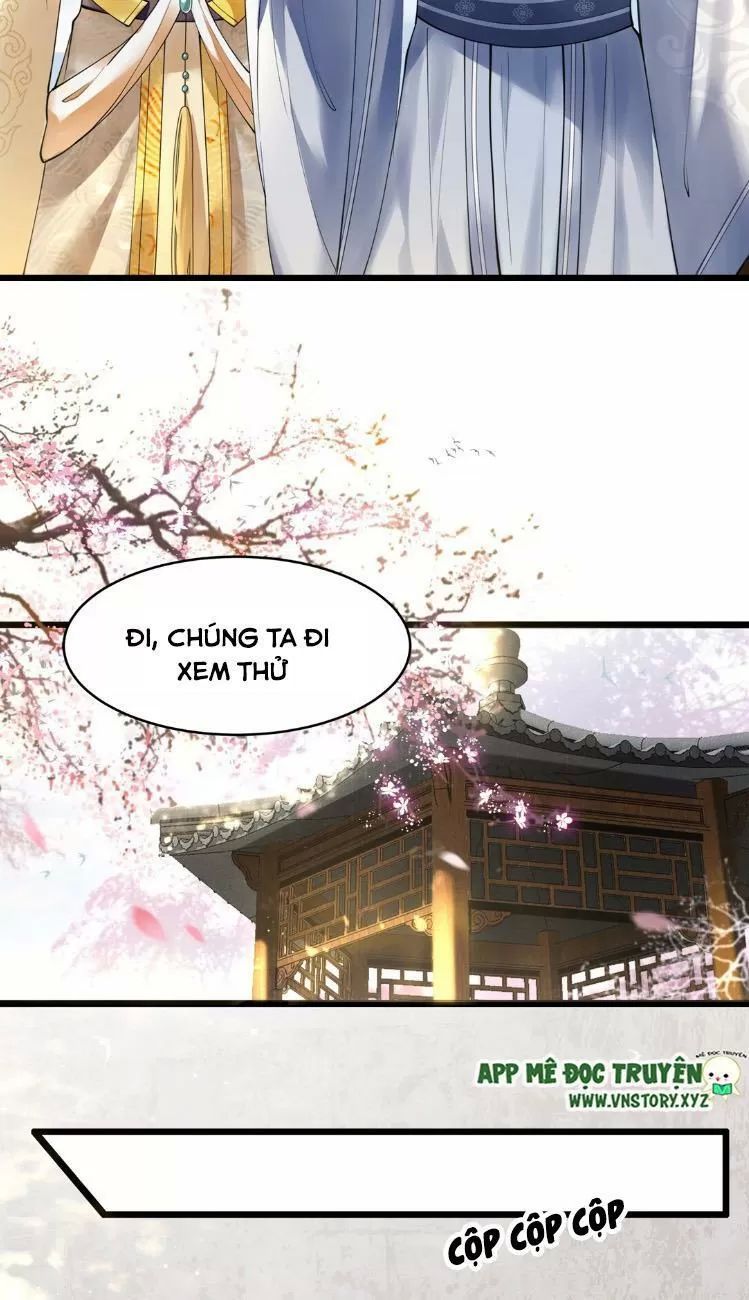 Phượng Hoàng Vu Phi Chapter 7 - Trang 2