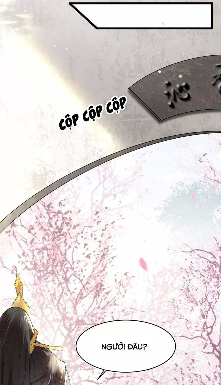 Phượng Hoàng Vu Phi Chapter 7 - Trang 2