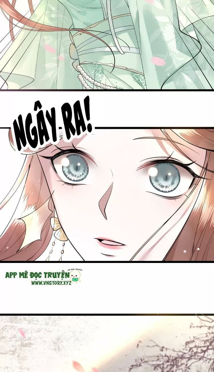 Phượng Hoàng Vu Phi Chapter 7 - Trang 2