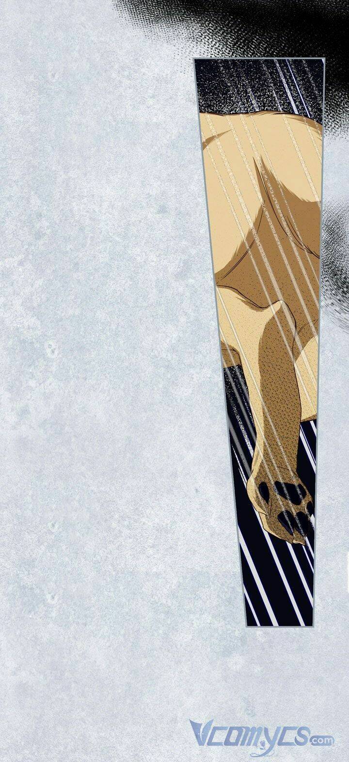 Phương Pháp Che Giấu Đứa Con Của Hoàng Đế Chapter 30 - Trang 2