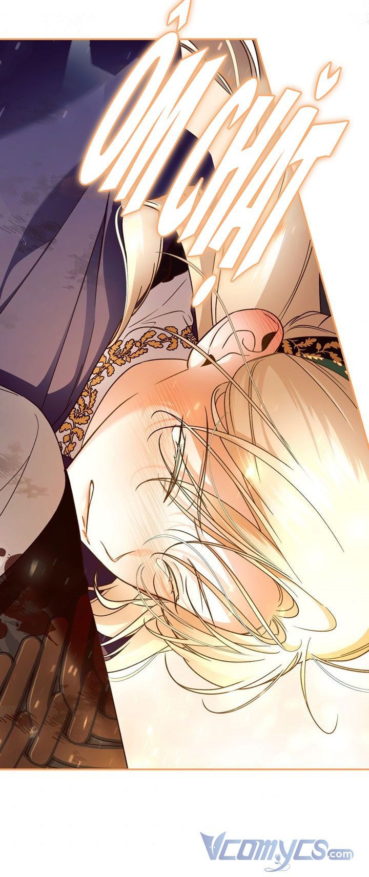 Phương Pháp Che Giấu Đứa Con Của Hoàng Đế Chapter 40.5 - Trang 2