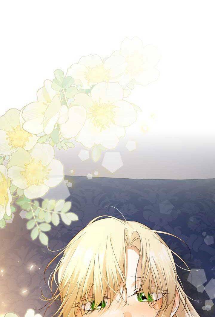 Phương Pháp Che Giấu Đứa Con Của Hoàng Đế Chapter 76 - Trang 2