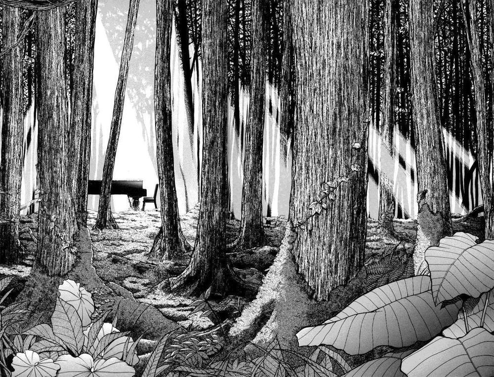 Piano No Mori Chapter 2 - Trang 2