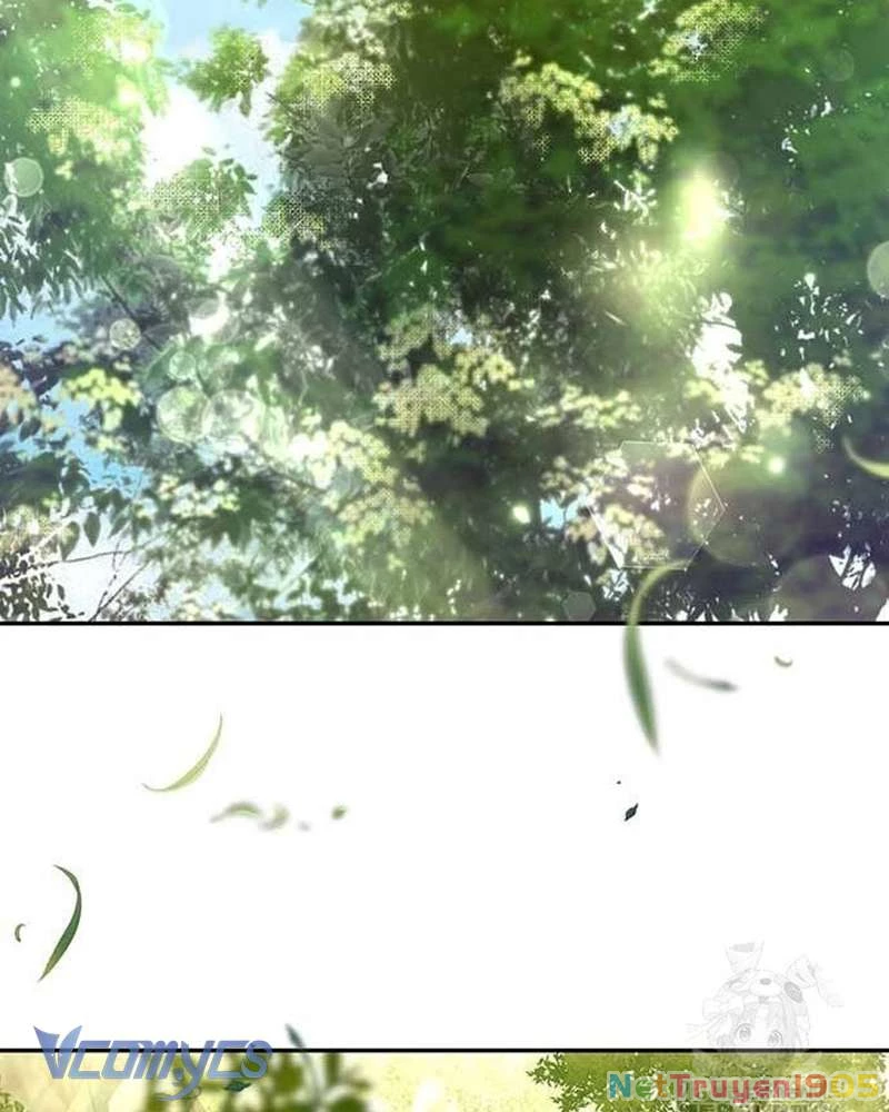 Praesepe Bên Ngoài Chiếc Lồng Chapter 15 - Trang 2