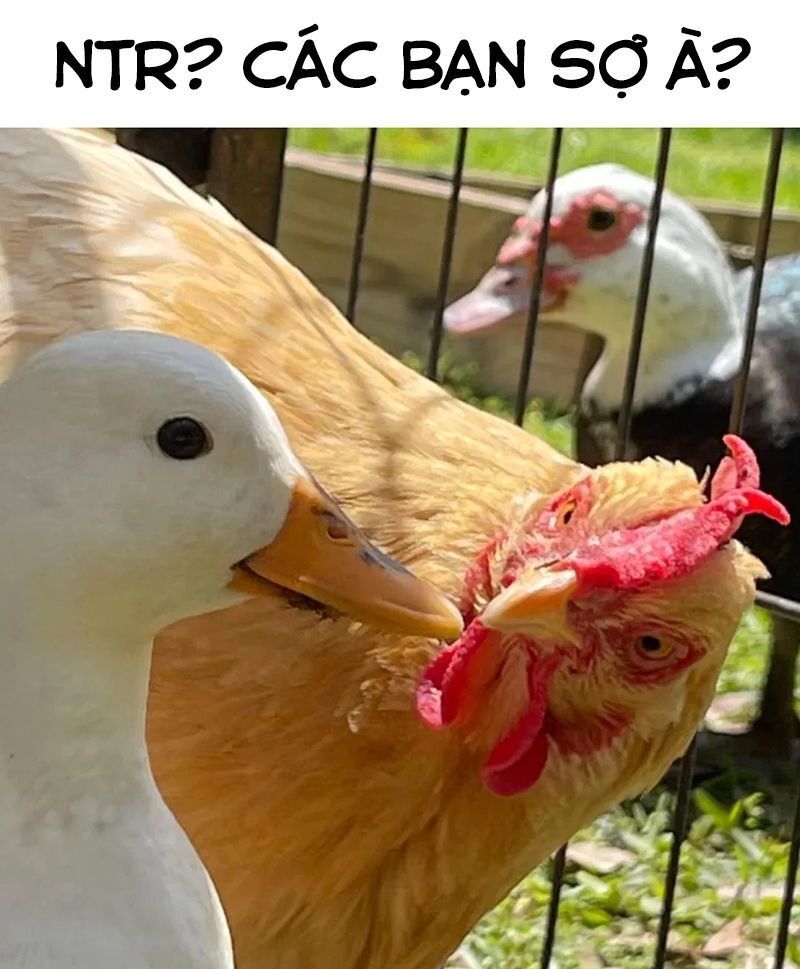 Pure 0 01 Mm Chapter 12 - Trang 2