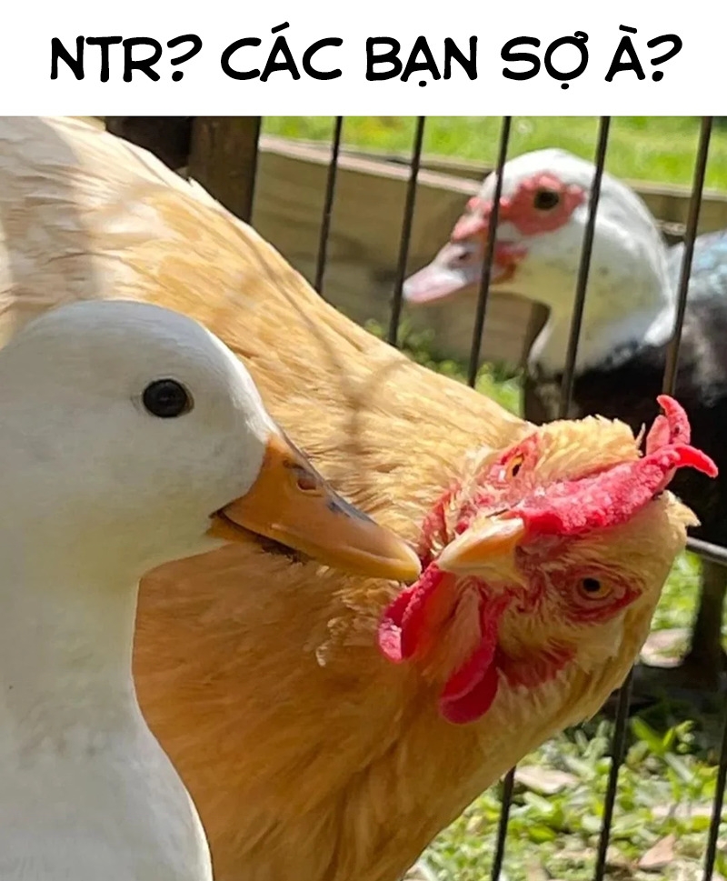 Pure 0.01 Mm Chapter 12 - Trang 2