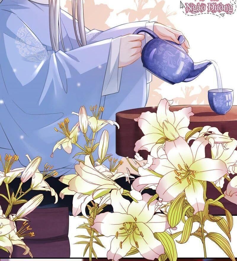 Quận Chúa Vững Vàng, Thiết Lập Nhân Vật Không Thể Vỡ Chapter 12 - Trang 2