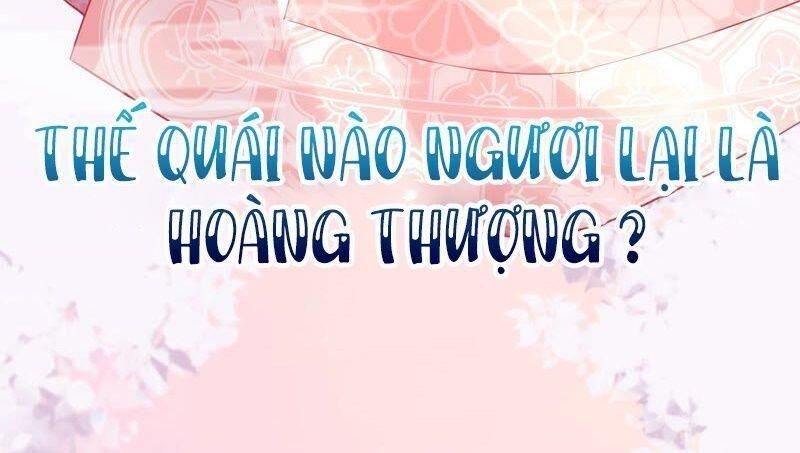 Quận Chúa Vững Vàng, Thiết Lập Nhân Vật Không Thể Vỡ Chapter 24 - Trang 2