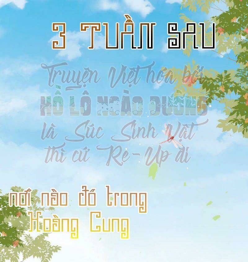 Quận Chúa Vững Vàng, Thiết Lập Nhân Vật Không Thể Vỡ Chapter 32 - Trang 2