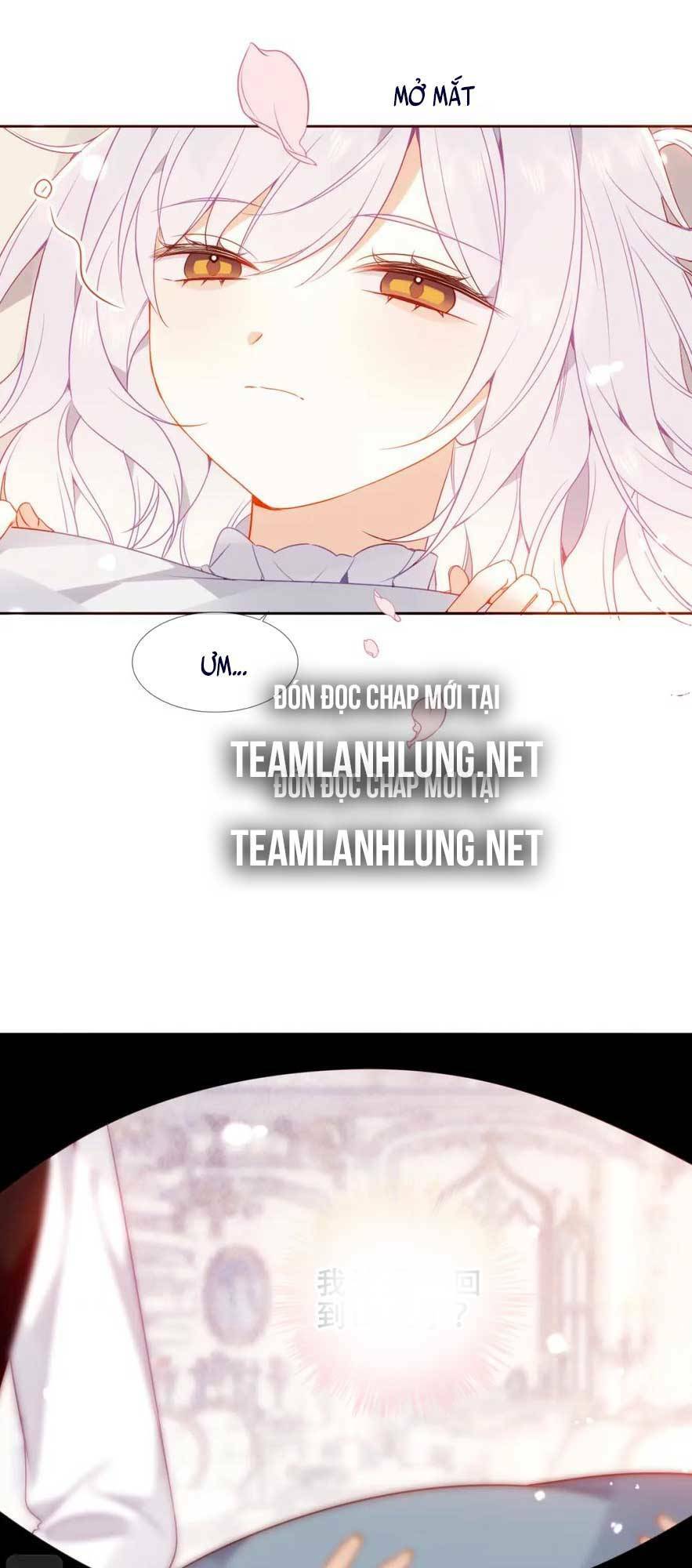 Quán Kịch Bản Trần Mộng Chapter 42 - Trang 2