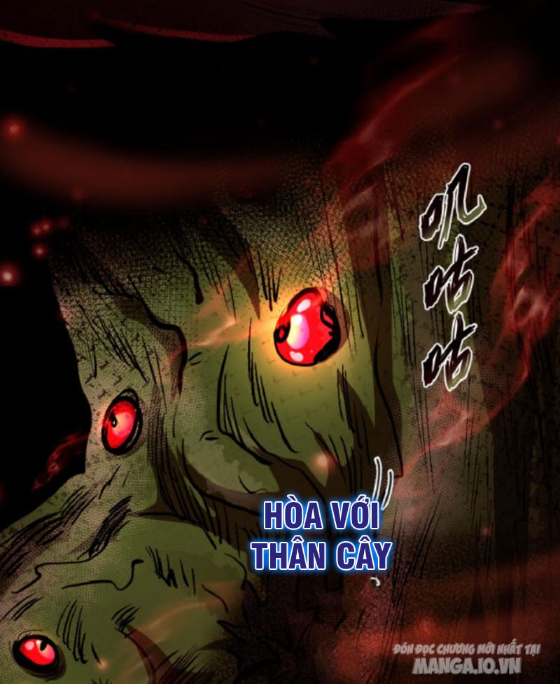 Quỷ Dị Dược Tề Sư: Bệnh Nhân Của Ta Đều Là Kinh Khủng Chapter 1 - Trang 2