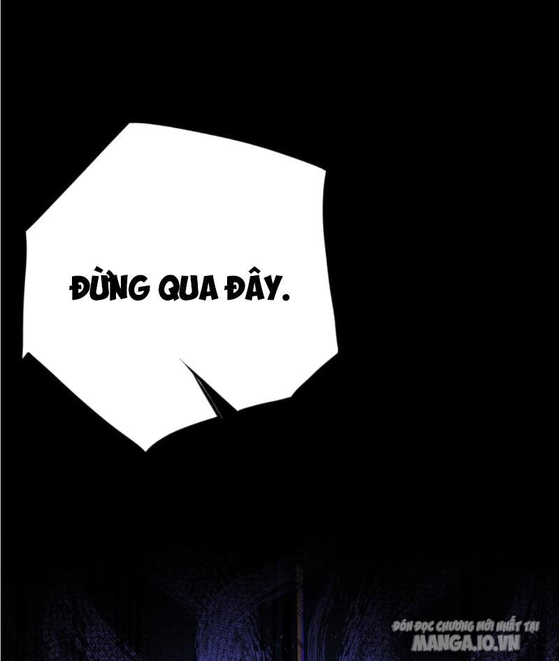 Quỷ Dị Dược Tề Sư: Bệnh Nhân Của Ta Đều Là Kinh Khủng Chapter 239 - Trang 2