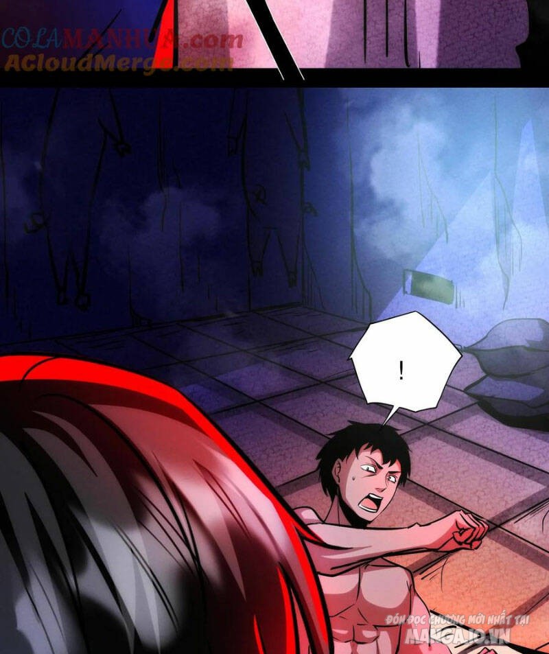 Quỷ Dị Dược Tề Sư: Bệnh Nhân Của Ta Đều Là Kinh Khủng Chapter 261 - Trang 2