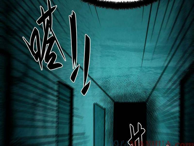 Quỷ Dị Khó Giết? Thật Xin Lỗi, Ta Mới Thật Sự Là Bất Tử Chapter 14 - Trang 2