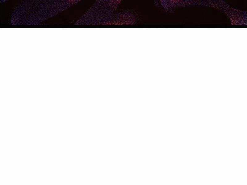 Quỷ Dị Khó Giết? Thật Xin Lỗi, Ta Mới Thật Sự Là Bất Tử Chapter 29 - Trang 2