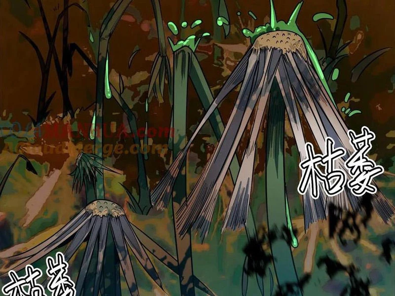 Quỷ Dị Khôi Phục: Ta Có Thể Hóa Thân Thành Đại Yêu Chapter 138 - Trang 2