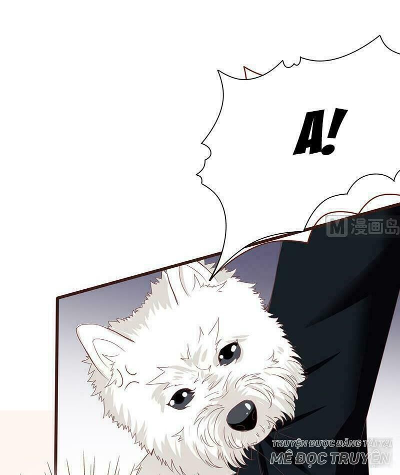 Quy Luật Tình Yêu Ở Mạt Thế Chapter 10 - Trang 2