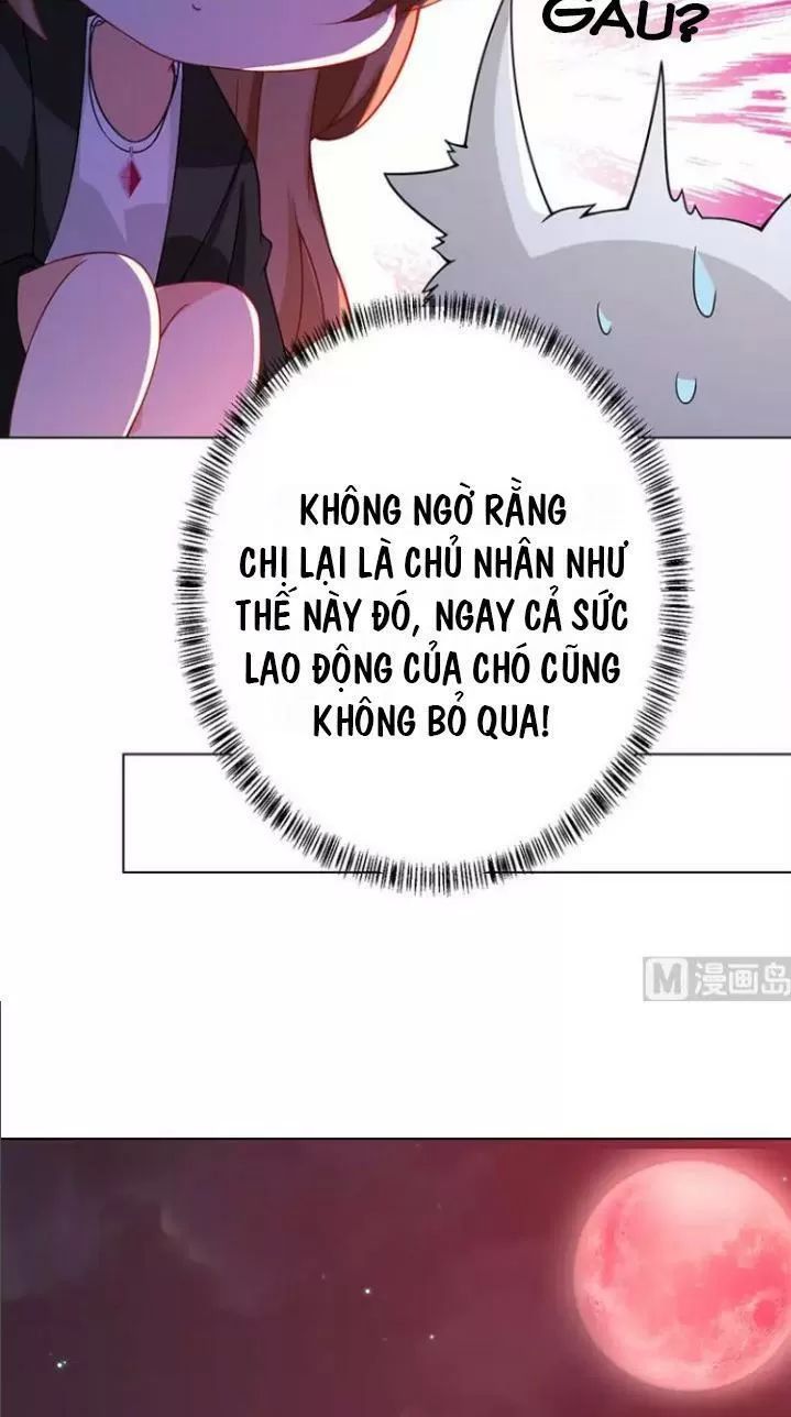 Quy Luật Tình Yêu Ở Mạt Thế Chapter 141 - Trang 2