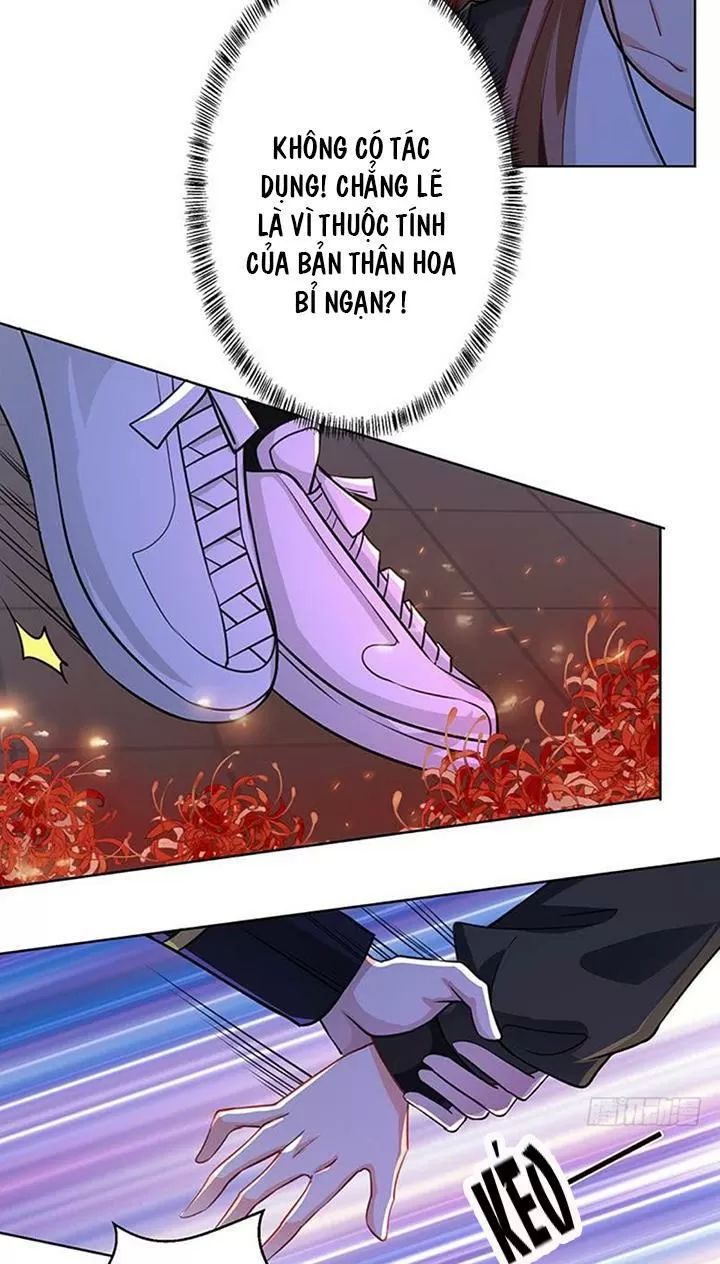 Quy Luật Tình Yêu Ở Mạt Thế Chapter 165 - Trang 2