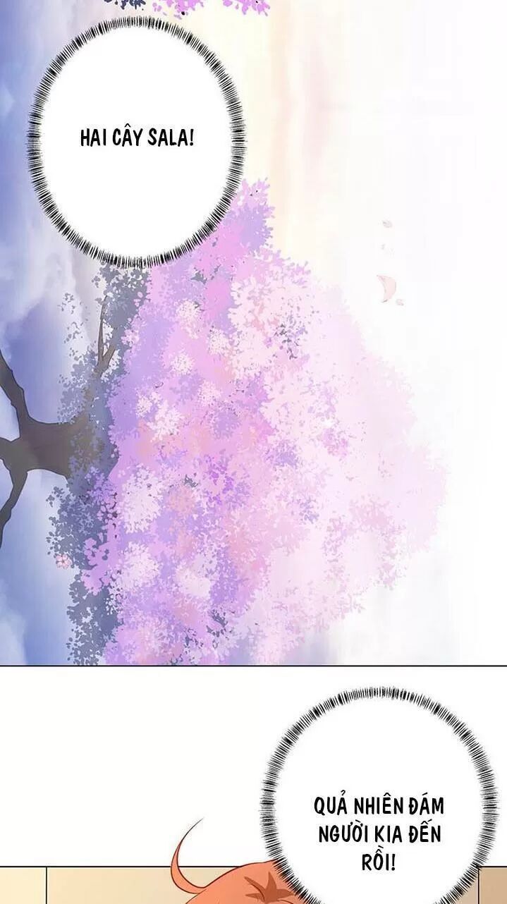 Quy Luật Tình Yêu Ở Mạt Thế Chapter 223 - Trang 2