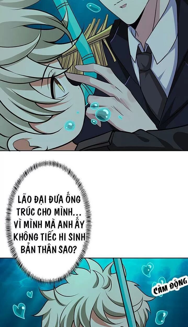 Quy Luật Tình Yêu Ở Mạt Thế Chapter 225 - Trang 2