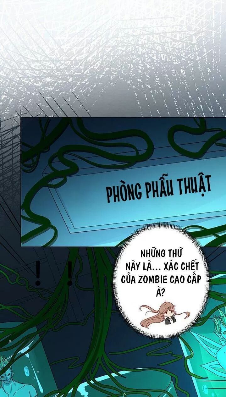 Quy Luật Tình Yêu Ở Mạt Thế Chapter 243 - Trang 2