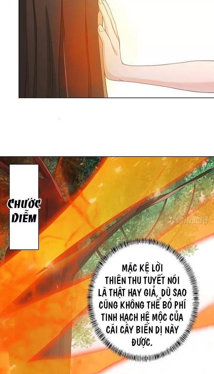 Quy Luật Tình Yêu Ở Mạt Thế Chapter 244 - Trang 2