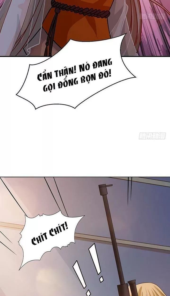 Quy Luật Tình Yêu Ở Mạt Thế Chapter 247 - Trang 2